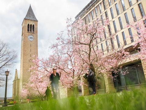 Cornell McGraw tower in spring